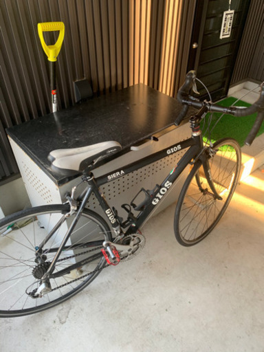 公式 ジオスシエラMサイズ 