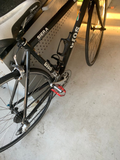 ジオスシエラMサイズ