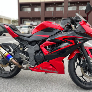 カワサキニンジャ250SLの画像