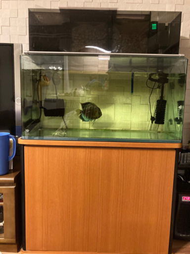 90cm 水槽 アクリル上部フィルター るあな 豊中の家具の中古あげます 譲ります ジモティーで不用品の処分