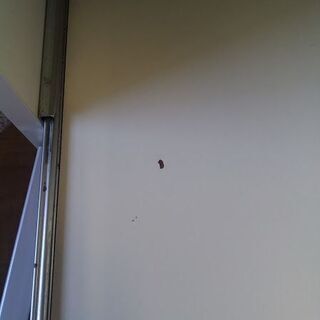 【愛品倶楽部柏店】　Ｐａｍｏｕｎａ　パモウナ　２枚スライド扉キッチンボード　白　【店舗同時販売中】