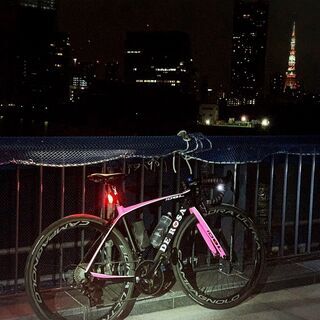 【美品】DE ROSA idol【ロードバイク】