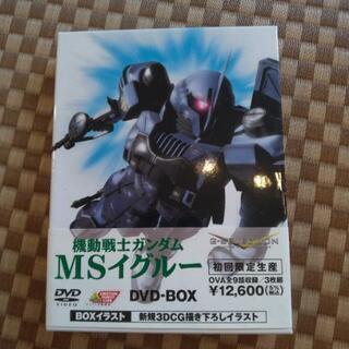 MSイグルーDVD