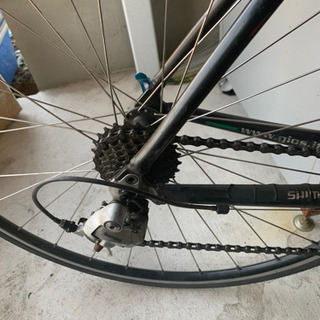 ジオスシエラMサイズ