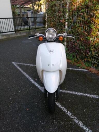 原付　ホンダ　トゥデイ　白