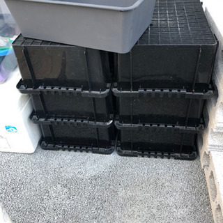 メダカ飼育セット