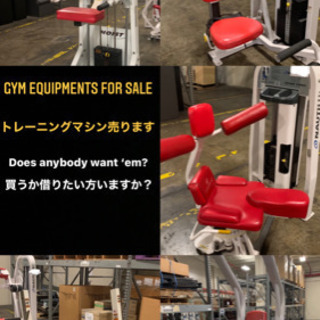★プロ仕様のトレーニングマシン★　HOIST CHIN-DIP ASSIST