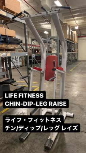 ★プロ仕様のトレーニングマシン★  LIFE FITNESS CHIN-DIP-LEG RAISE