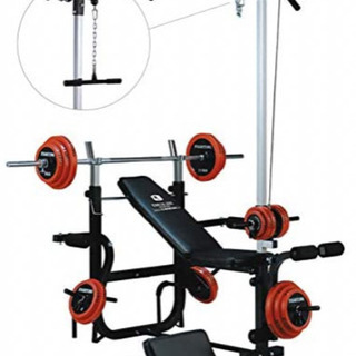 しっかりとしてます