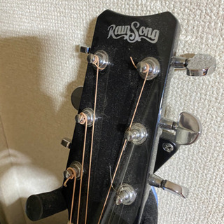 レインソング　rainsong DR-1000 アコースティックギター