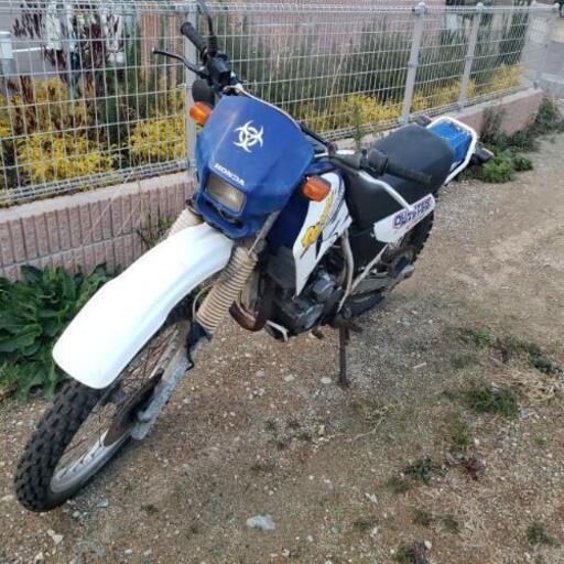 ホンダ ディグリー