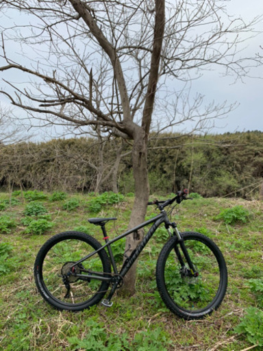お話し中SPECIALIZED   ROCKHOPPER COMP 29 マウンテンバイク　MTB