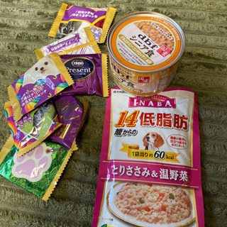 シニア犬ご飯セット