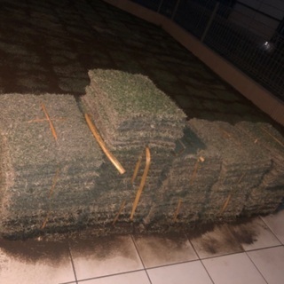 TM9 天然芝　トヨタ　＆目土