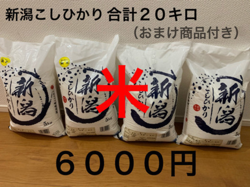 新潟こしひかり 5キロ✖️4袋 合計20キロ おまけ食品付き www