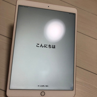 iPadPro 10.5 セルラータイプ　#169