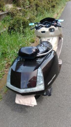 マグザム SG21 (1347)