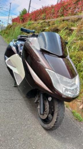 マグザム  SG21  (1347) マグザム SG21 (1347)