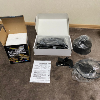 爬虫類メタハラ【24日中値引き】