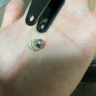 爬虫類メタハラ【24日中値引き】