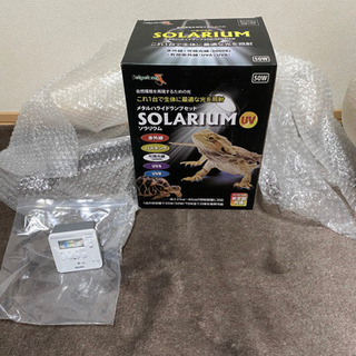 爬虫類メタハラ【24日中値引き】