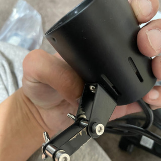 爬虫類メタハラ【24日中値引き】