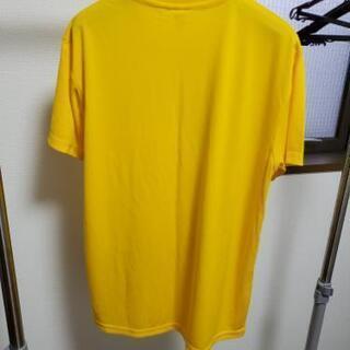 慶應大学慶応大学Tシャツ