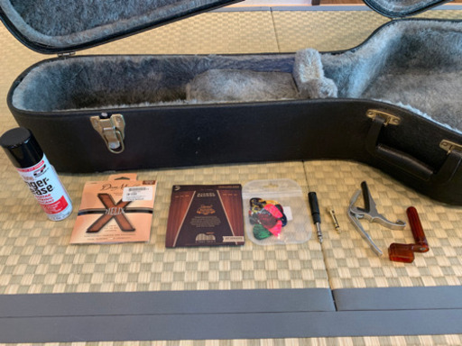 シーガル Seagull Grand パーラーギター【専用ハードケース付】 ギター