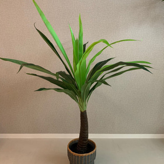 観葉植物　造花
