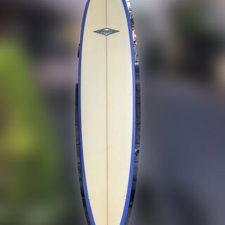 ファンボード まぁまぁの美品です。ハードケース付き - bravista.com.br