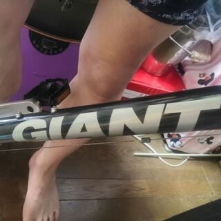 GIANT  クロスバイク(交渉中)