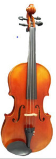 バイオリン330