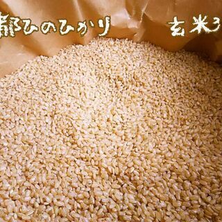 京都ひのひかり玄米３０㎏　お米３０