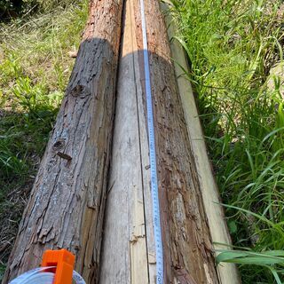 ヒノキ 丸太 天然乾燥材