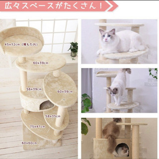 Mauキャットタワーリッチエッグ