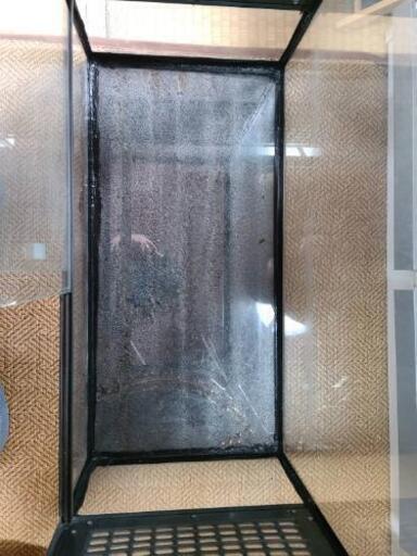 レプロ 爬虫類 ガラスゲージ