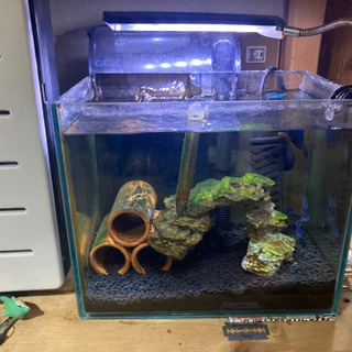 広島県の中古水槽が無料 格安で買える ジモティー