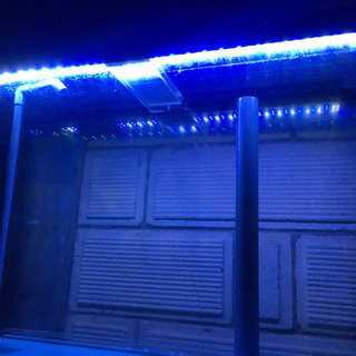 アクリル水槽　120  バイク　バギーと交換も可能です。