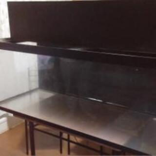 ୨୧--- 中古⭐1200水槽 ---୨୧