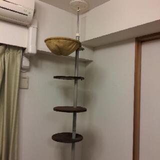 キャットタワー　長期使用