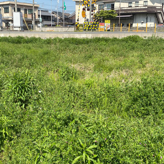 【お話中です】少額お礼アリ4月25日‼️畑の土起こしを手伝って下さる方募集します！の画像