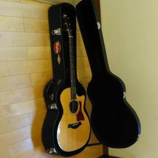 【Taylor 314（ce）& SkySonic Pro1】 インストール済