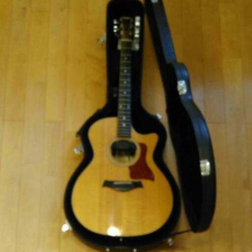 【Taylor 314（ce）\u0026 SkySonic Pro1】 インストール済