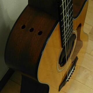 【Taylor 314（ce）& SkySonic Pro1】 インストール済