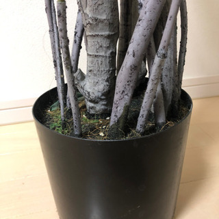 値下げ❗️人工観葉植物 フェイクグリーン オリーブ | energysource.com.br