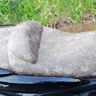 グランドマジェスティ250 ヘビ革風シート (1361)