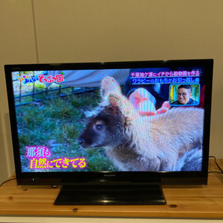 【ネット決済】シャープの液晶テレビ32型