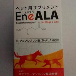 犬用 腎臓病 ウェットフード&おまけ