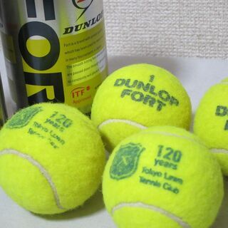 ダンロップ 硬式テニスボール（イエロー・2球入り×2）DUNLO...
