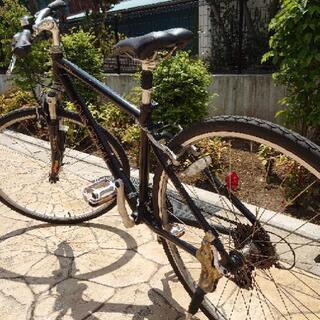 ルイガノクロスバイク  LGS-TR 1